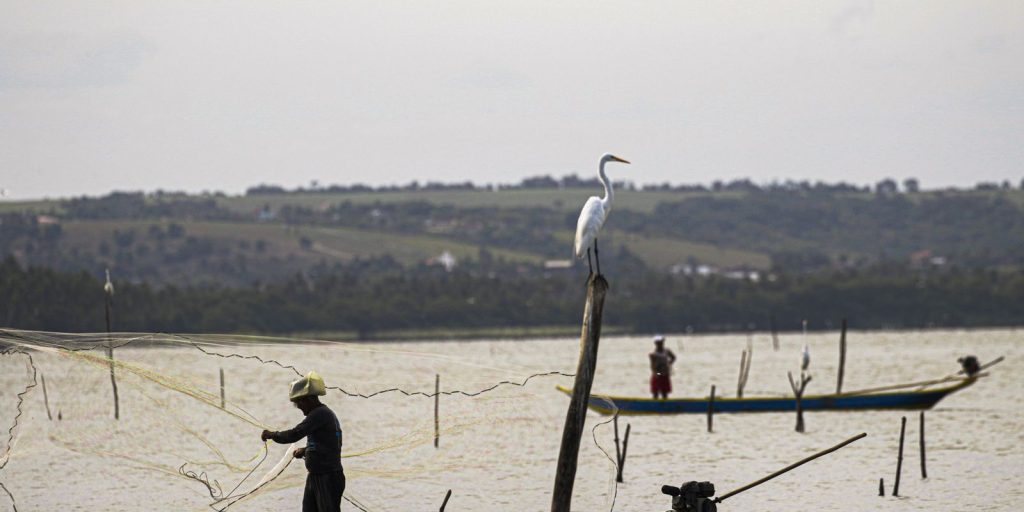 Sexto lote do seguro-defeso será disponibilizado na terça-feira