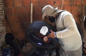 MS registra 6.360 casos confirmados de chikungunya – Agência de Noticias do Governo de Mato Grosso do Sul
