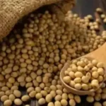 SOJA E TRIGO: confira os preços dos grãos nesta quarta-feira (10)