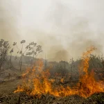 Brasil registra quase 30 mil focos de incêndio em 2026; aumento de temperatura levanta alerta de risco para Amazônia, Cerrado e Caatinga