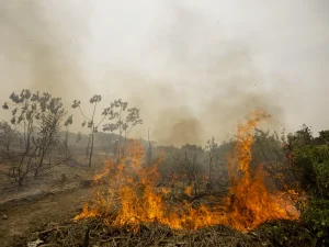 Foto: Joédson Alves/Agência Brasil