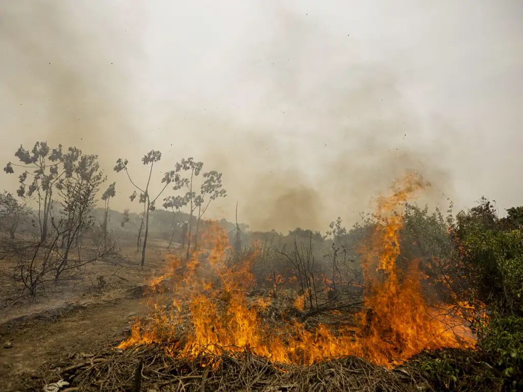 Foto: Joédson Alves/Agência Brasil