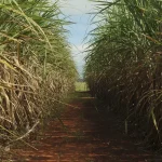 Conselho eleva limite de remuneração do Eco Invest Brasil