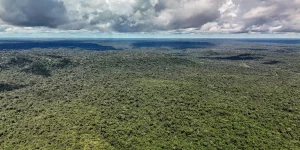 Fazenda autoriza crédito de US$ 1 bilhão do BID para Eco Invest Brasil