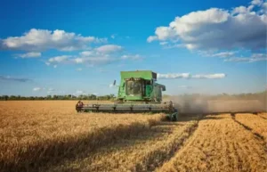 PAM 2025: produção agrícola dos municípios bate recorde de R$ 927,2 bilhões; confira ranking das cidades